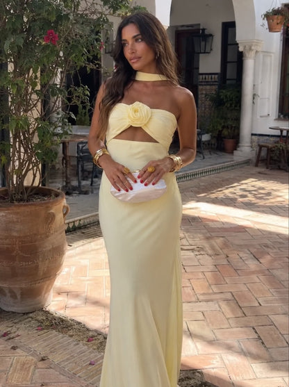 Maxi backless dress with pink bodice